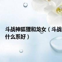 斗战神狐狸和龙女（斗战神狐狸什么系好）