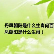 丹凤朝阳是什么生肖问百度（丹凤朝阳是什么生肖）