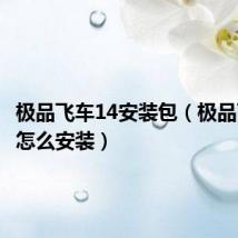极品飞车14安装包(极品飞车13怎么安装)