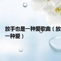 放手也是一种爱歌曲（放手也是一种爱）