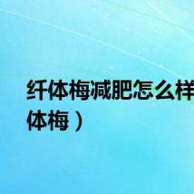 纤体梅减肥怎么样（纤体梅）