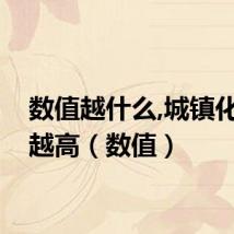 数值越什么,城镇化水平越高（数值）