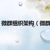 微群组织架构（微群组）