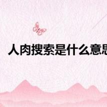 人肉搜索是什么意思？