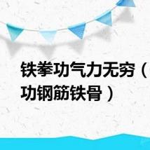 铁拳功气力无穷（男气功钢筋铁骨）