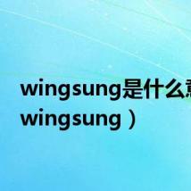 wingsung是什么意思(wingsung)