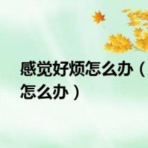感觉好烦怎么办（好烦怎么办）