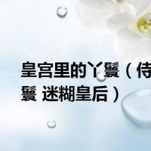 皇宫里的丫鬟（侍寝丫鬟 迷糊皇后）