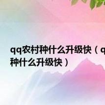 qq农村种什么升级快(qq农场种什么升级快)