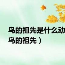 鸟的祖先是什么动物?（鸟的祖先）