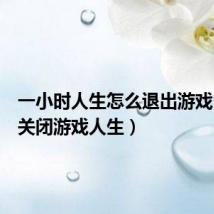 一小时人生怎么退出游戏(怎么关闭游戏人生)