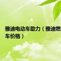雅迪电动车助力(雅迪燃油助力车价格)