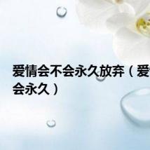 爱情会不会永久放弃(爱情会不会永久)