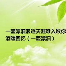 一壶漂泊浪迹天涯难入喉你走之后酒暖回忆(一壶漂泊)