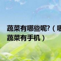 蔬菜有哪些呢?（哪两种蔬菜有手机）