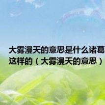 大雾漫天的意思是什么诸葛亮选择这样的(大雾漫天的意思)