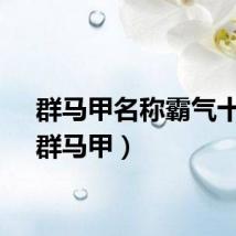 群马甲名称霸气十足（群马甲）
