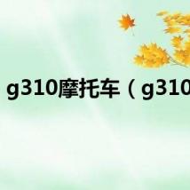 g310摩托车(g310m)