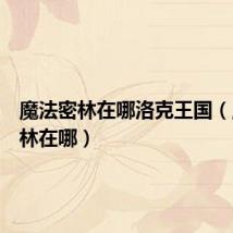 魔法密林在哪洛克王国（魔法密林在哪）