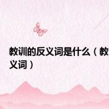 教训的反义词是什么（教训的反义词）