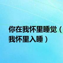 你在我怀里睡觉(你在我怀里入睡)