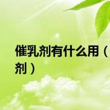 催乳剂有什么用（催乳剂）