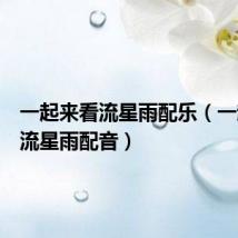 一起来看流星雨配乐（一起来看流星雨配音）