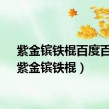 紫金镔铁棍百度百科（紫金镔铁棍）