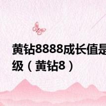 黄钻8888成长值是多少级（黄钻8）