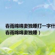 春雨绵绵妻独睡打一字什么字(春雨绵绵妻独睡)