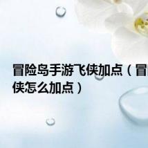 冒险岛手游飞侠加点（冒险岛飞侠怎么加点）