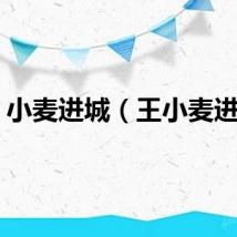 小麦进城（王小麦进城）