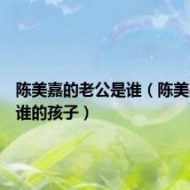陈美嘉的老公是谁(陈美嘉怀了谁的孩子)