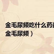 金毛尿频吃什么药最好（金毛尿频）