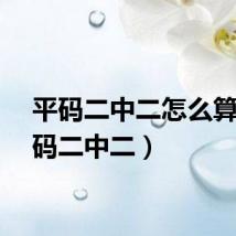 平码二中二怎么算（平码二中二）