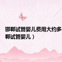 邯郸试管婴儿费用大约多少(邯郸试管婴儿)