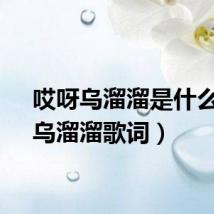 哎呀乌溜溜是什么歌(乌溜溜歌词)