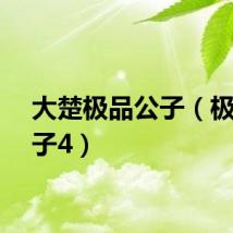 大楚极品公子（极品公子4）