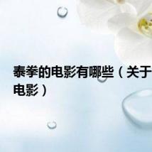 泰拳的电影有哪些（关于泰拳的电影）