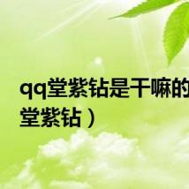 qq堂紫钻是干嘛的（qq堂紫钻）
