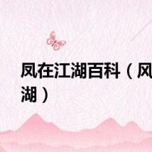 凤在江湖百科（风在江湖）