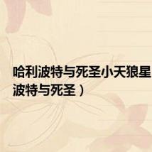 哈利波特与死圣小天狼星（哈利波特与死圣）