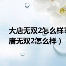 大唐无双2怎么样?（大唐无双2怎么样）