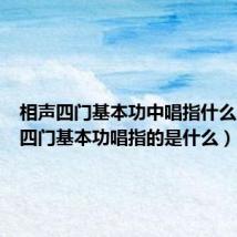 相声四门基本功中唱指什么（相声四门基本功唱指的是什么）