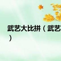 武艺大比拼（武艺 阿sa）