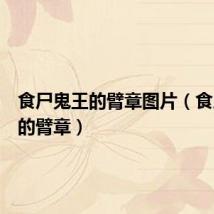 食尸鬼王的臂章图片（食尸鬼王的臂章）