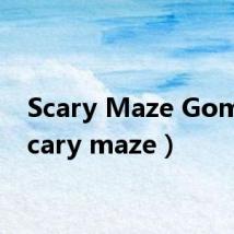 Scary Maze Gome（scary maze）