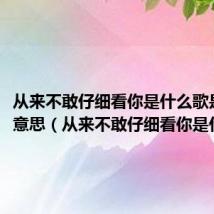 从来不敢仔细看你是什么歌是什么意思（从来不敢仔细看你是什么歌）