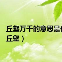 丘壑万千的意思是什么（丘壑）