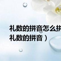 礼数的拼音怎么拼写（礼数的拼音）